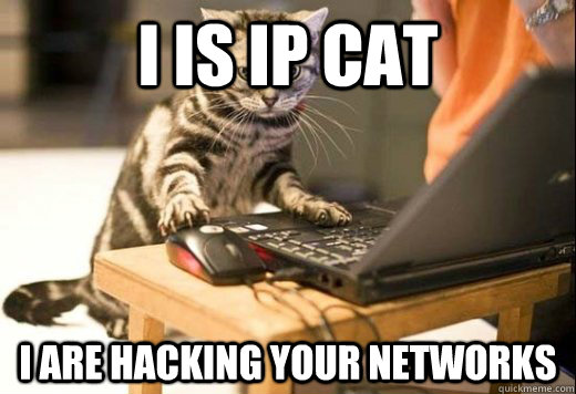 I Is Ip Cat I Are Hacking Your Networks Angry Computer Cat