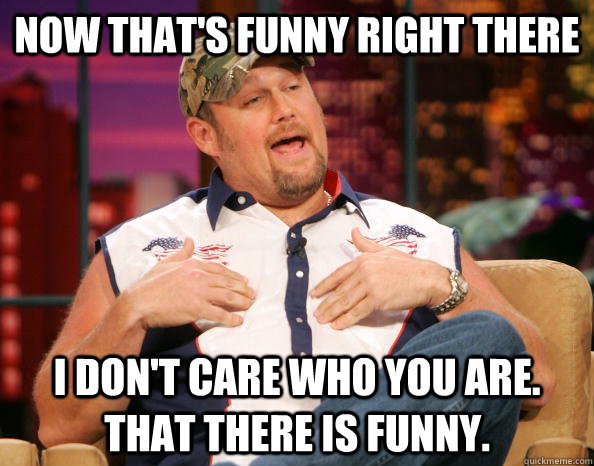 Now that's funny right there I don't care who you are. That there is funny.  - Scumbag Larry The Cable Guy - quickmeme
