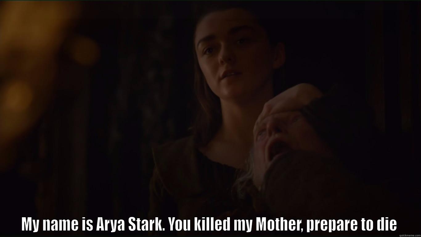 My name is Arya Stark. You killed my Mother, prepare to die - quickmeme