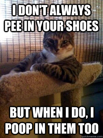 I don't always pee in your shoes but 