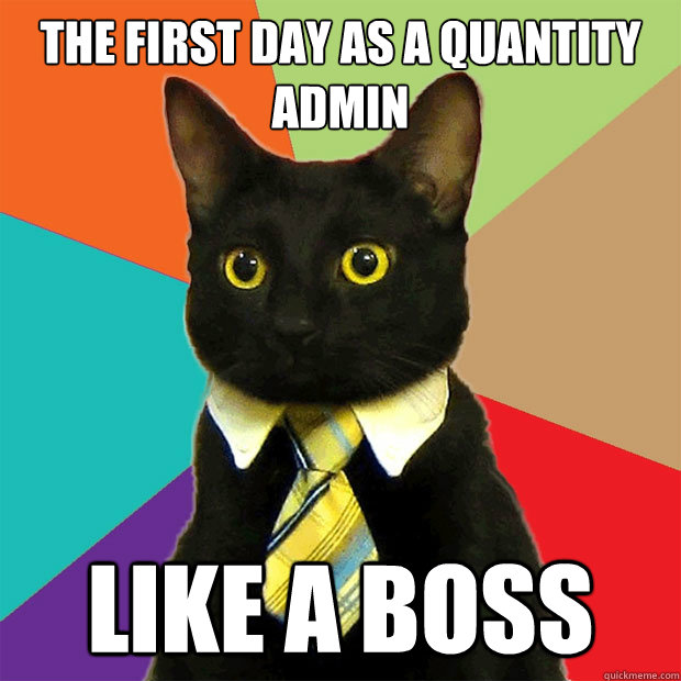 the first day as a Quantity Admin Like A boss - Business Cat - quickmeme