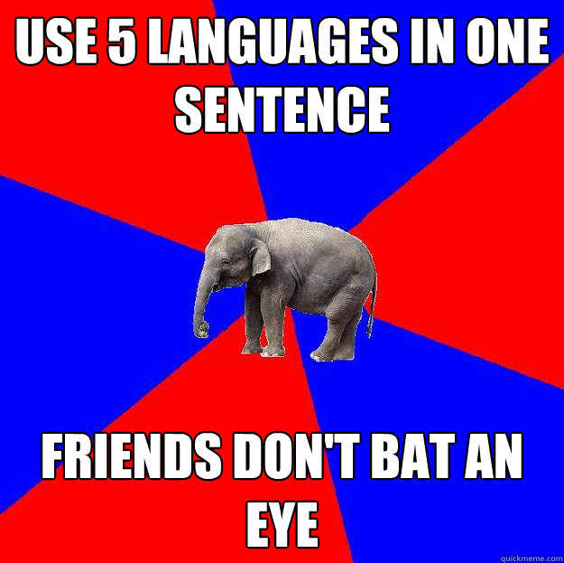 Use 5 languages in one sentence Friends don't bat an eye - Foreign language  elephant - quickmeme