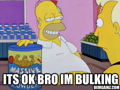  Its ok bro im bulking - Bulkinghomer - quickmeme