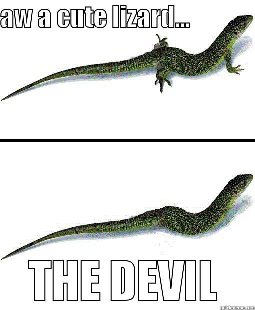 Lizard vs Snake - quickmeme