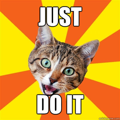 just do it - Bad Advice Cat - quickmeme