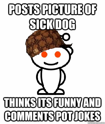 Posts Picture of Sick Dog Thinks its funny and comments pot jokes - Scumbag  Reddit - quickmeme