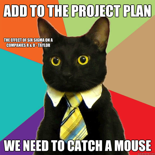 Add to the project Plan We need to catch a mouse The effect of Six Sigma on  a companies R & D - Taylor - Business Cat - quickmeme