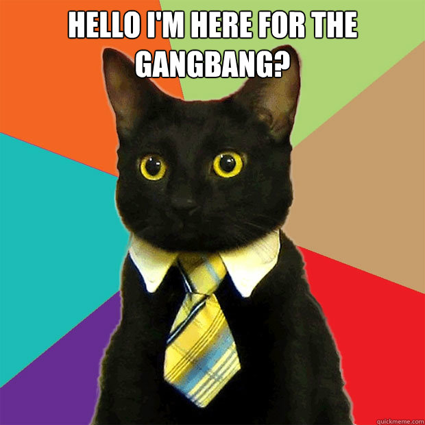 Cat Gang Bang
