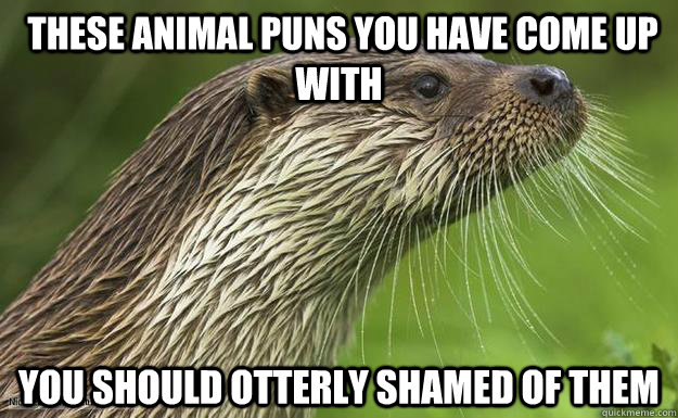 these animal puns you have come up with you should otterly shamed of them -  Misc - quickmeme