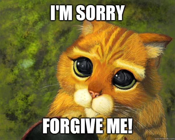 I'm sorry Forgive me! - im sorry - quickmeme