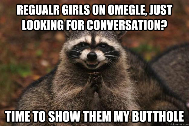 Regualr girls on omegle, just looking for conversation? Time to show them  my butthole - Evil Plotting Raccoon - quickmeme