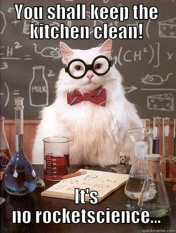 It's no rocketscience to keep the kitchen clean - quickmeme