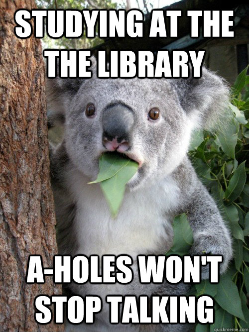 Studying at the the Library A-holes won't stop talking - koala bear -  quickmeme