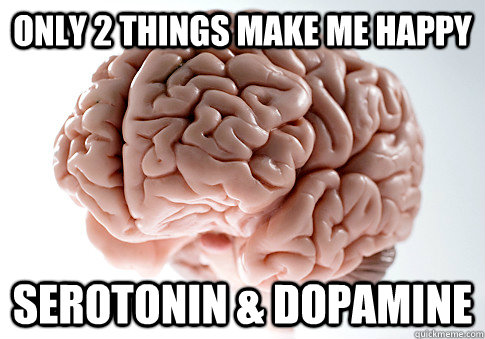 Only 2 Things Make Me Happy Serotonin Dopamine Scumbag Brain