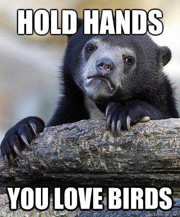 Hold Hands You Love Birds - Super Happy Friendly Wish-Granting-Bear -  quickmeme