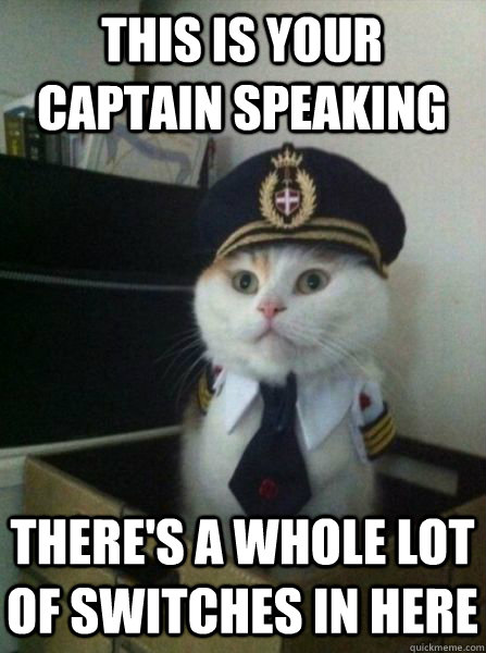 This is your captain speaking There's a whole lot of switches in here -  Captain kitteh - quickmeme