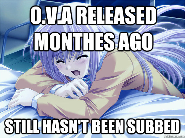  released monthes ago still hasn't been subbed - Anime world problems  - quickmeme