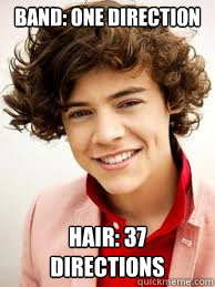 Band: One Direction Hair: 37 directions - HarryStyles - quickmeme