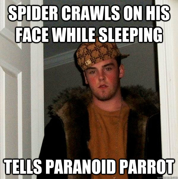Spider Crawls On His Face While Sleeping Tells Paranoid Parrot