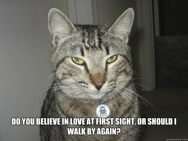 Do you believe in love at first sight, or should I walk by again? -  Seduction Cat - quickmeme