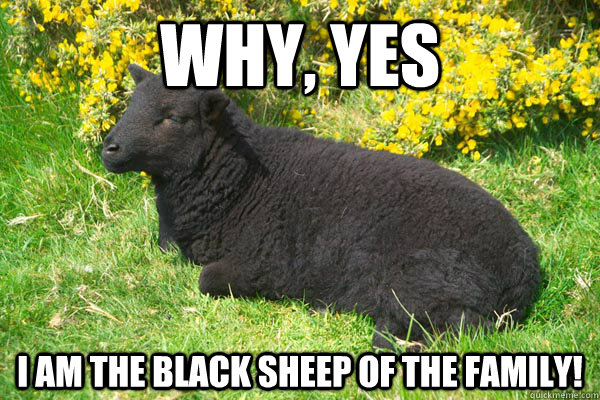 Why, Yes I am the black sheep of the family! - Misc - quickmeme