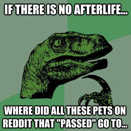 if there is no afterlife... where did all these pets on reddit that  