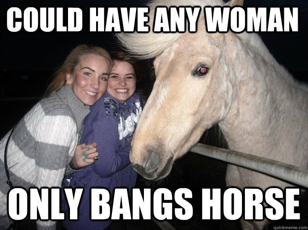 Could have any woman Only bangs horse - Ridiculously Photogenic Horse -  quickmeme