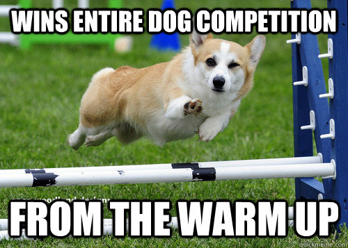 Wins entire dog competition from the warm up - Ridiculously Photogenic Dog  - quickmeme