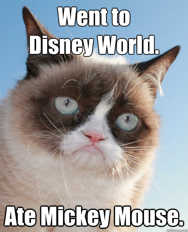 Went to Disney World. Ate Mickey Mouse. - Grumpy Cat Disney - quickmeme