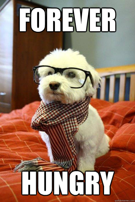 FOREVER HUNGRY - Hipster Dog - quickmeme