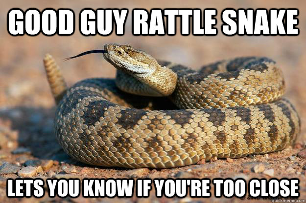 Good guy rattle snake lets you know if you're too close - Misc - quickmeme