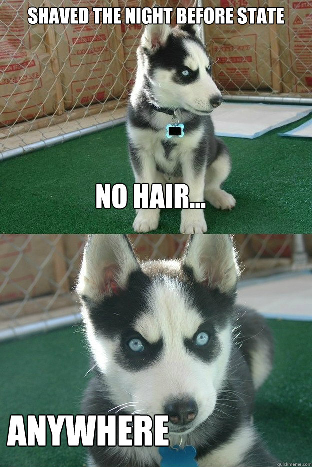 Shaved the night before state anywhere no hair... - Insanity puppy -  quickmeme