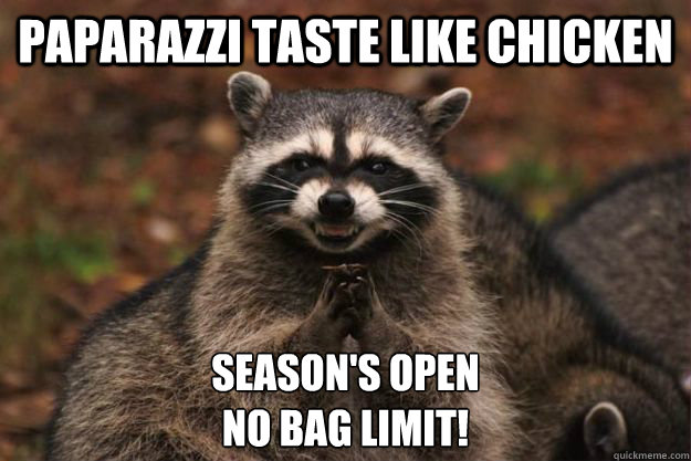 Paparazzi taste like chicken Season's Open No Bag limit! - Evil Plotting  Raccoon - quickmeme