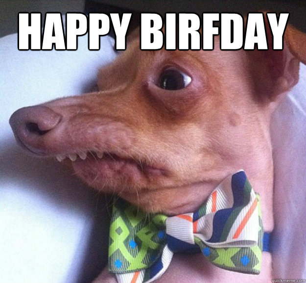 Happy birfday - overbite-dog-birthday-ian - quickmeme