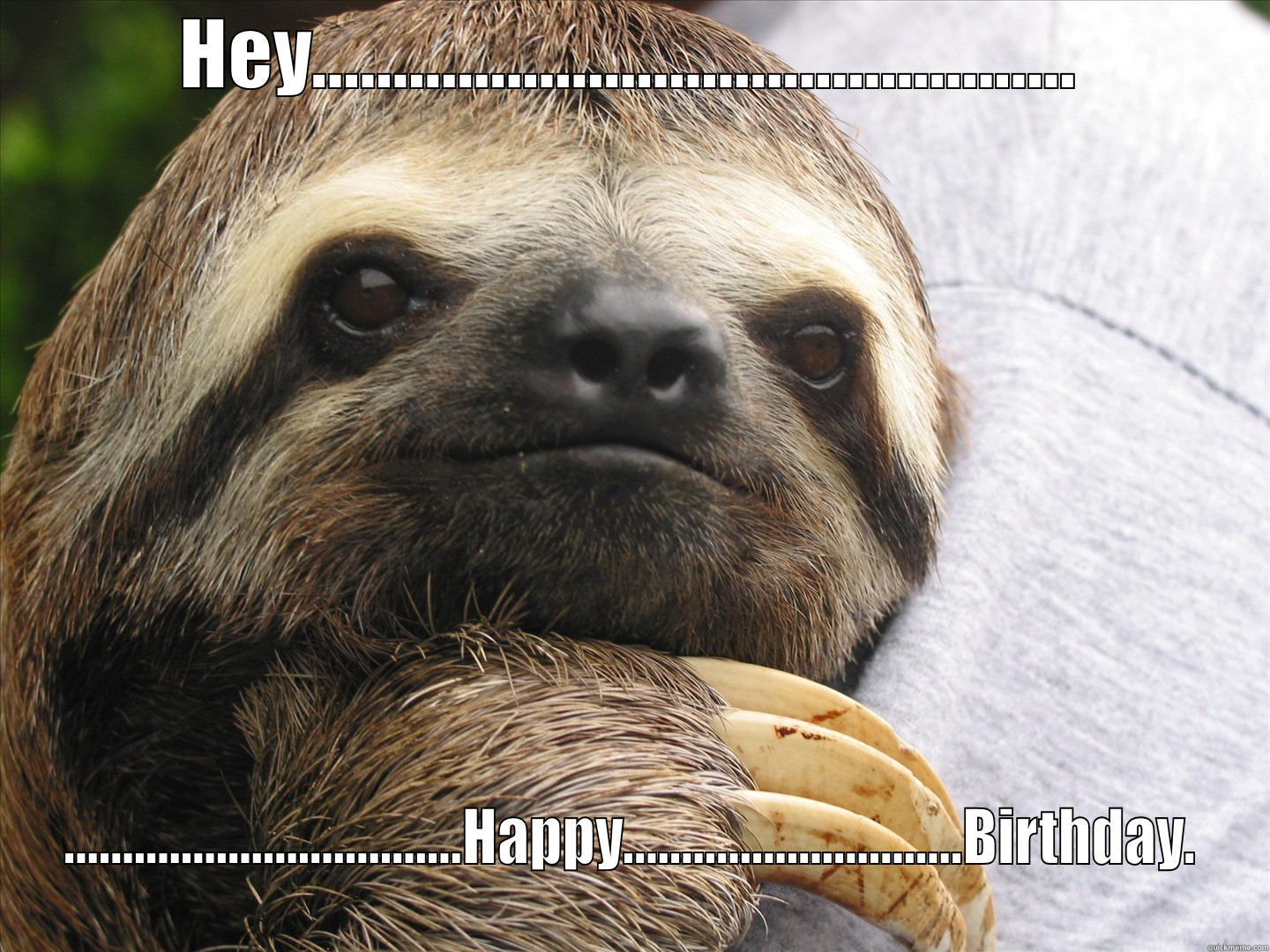 Funny Happy Birthday Sloth Meme | Happy Birthday Meme