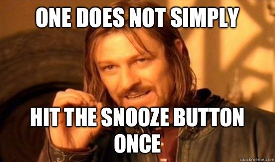 Boromir One Does Not Simply