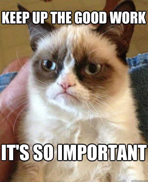 Keep up the good work it's so important - Grumpy Cat - quickmeme