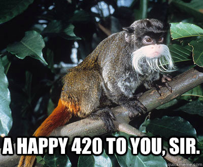 A HAPPY 420 TO YOU, SIR. - GRANDADDY KONG - quickmeme