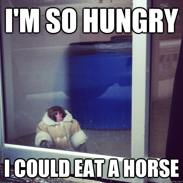 I'm So hungry I could eat a horse - Ikea Monkey - quickmeme