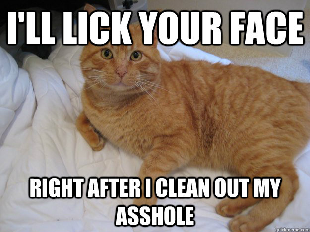 Lick Ass Clean