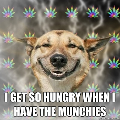 I get so hungry when i have the munchies - Stoner Dog - quickmeme