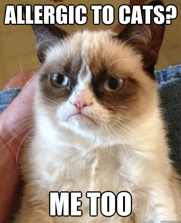 Allergic to cats? Me too - Grumpy Cat - quickmeme