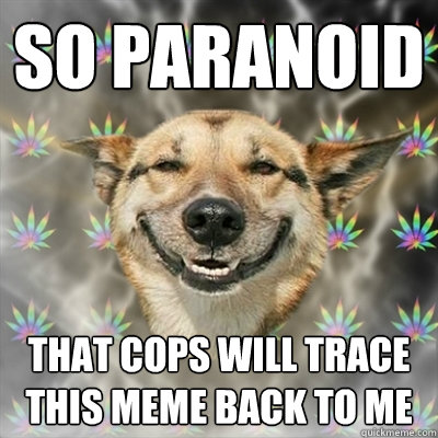 So Paranoid That Cops Will Trace This Meme Back To Me Stoner Dog