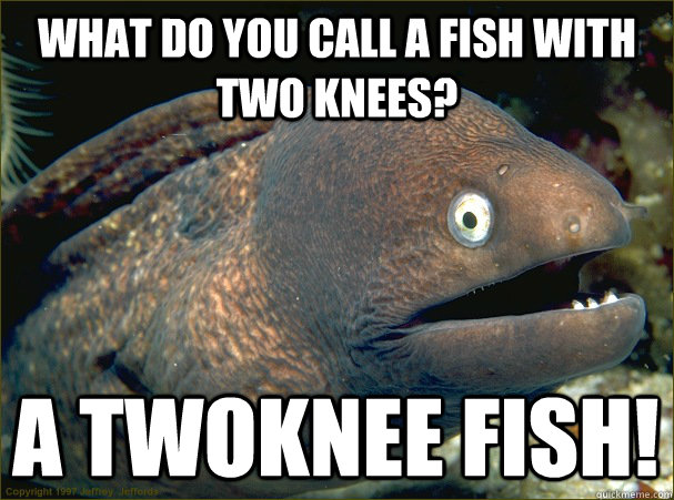 What Do You Call a Fish With Two Knees  