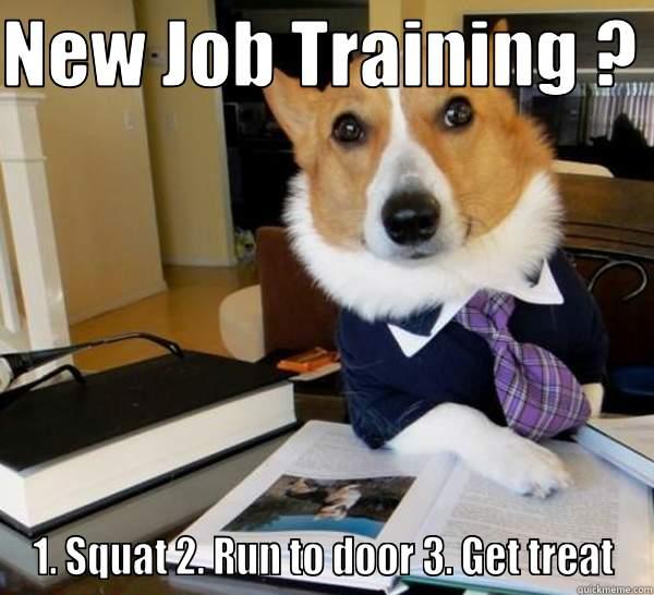 New Job Training ? - quickmeme