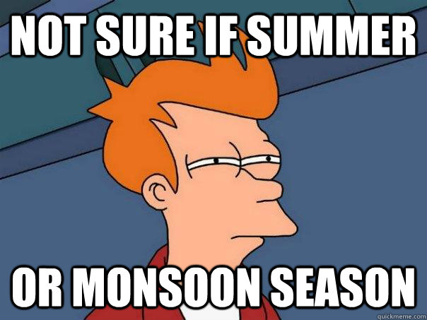 not sure if summer or monsoon season - Futurama Fry - quickmeme