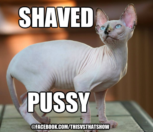 shaved pussy @/thisvsthatshow - Misc - quickmeme