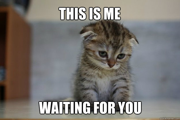 This is me waiting for you - Sad Kitten - quickmeme