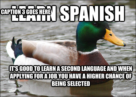 Learn Spanish It's good to learn a second language and when applying for a  job you have a higher chance of being selected Caption 3 goes here - Actual  Advice Mallard - quickmeme