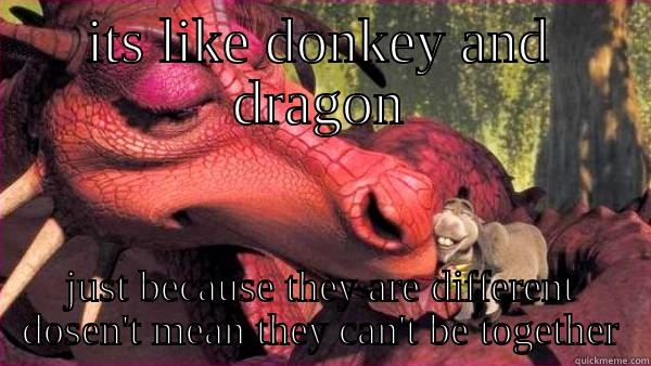 Dragon And Donkey Quickmeme
